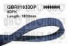 QUINTON HAZELL QBR81833DP V-Ribbed Belts